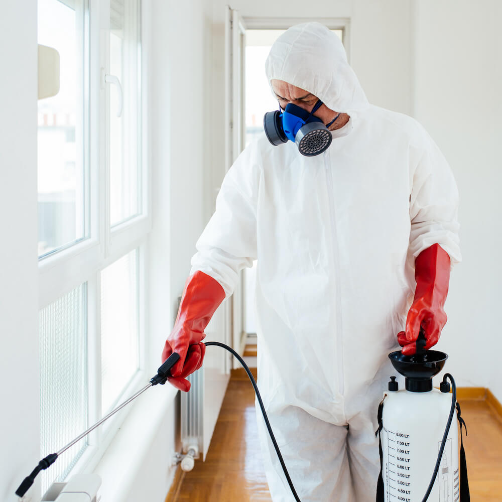 Residential and Commercial Pest Control Services: Your Comprehensive Pest Management Solution